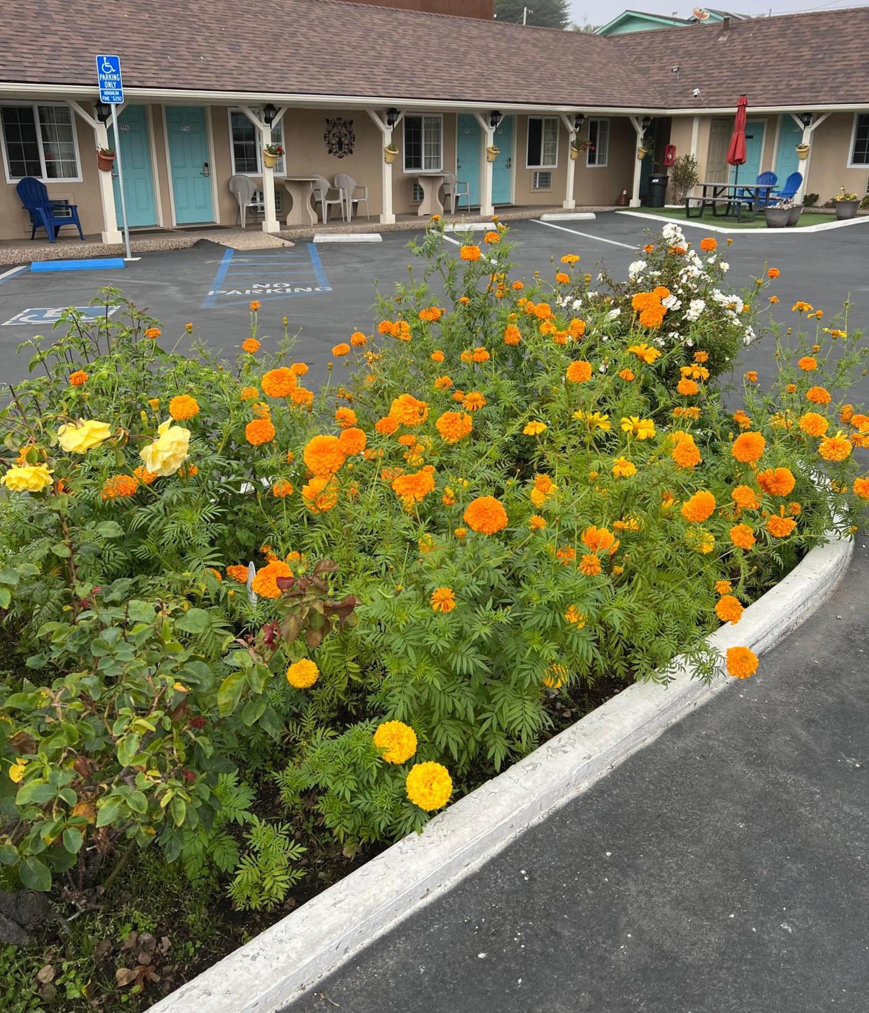 Central Coast Inn Cayucos Bagian luar foto